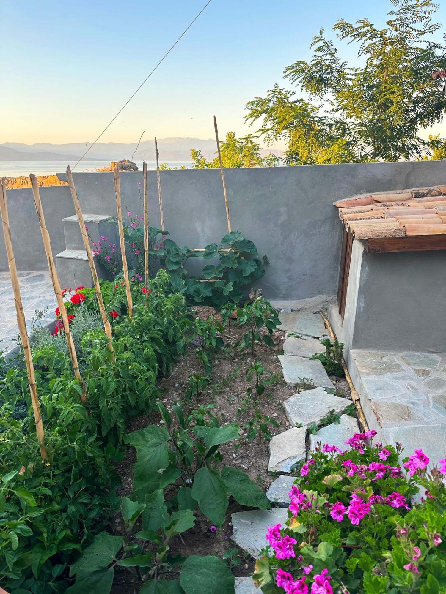 Fteri Stone House In Platanos, Akrata Apartman Kültér fotó